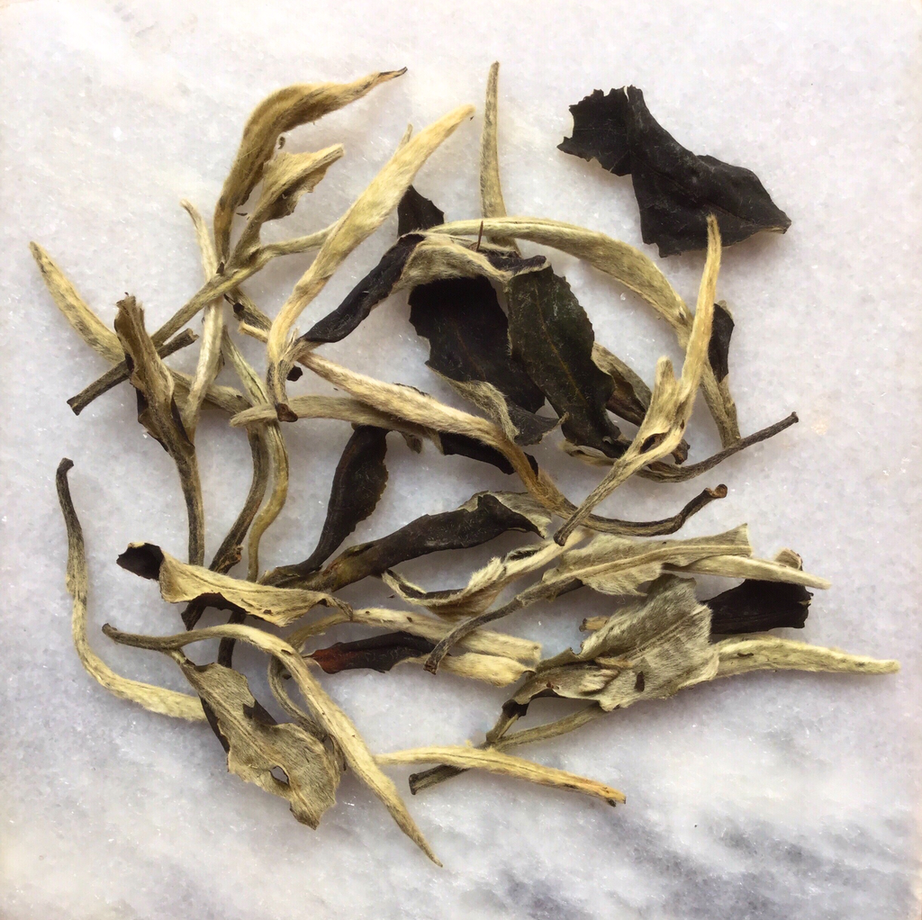 Yue Guang Bai [Thé blanc de Chine]