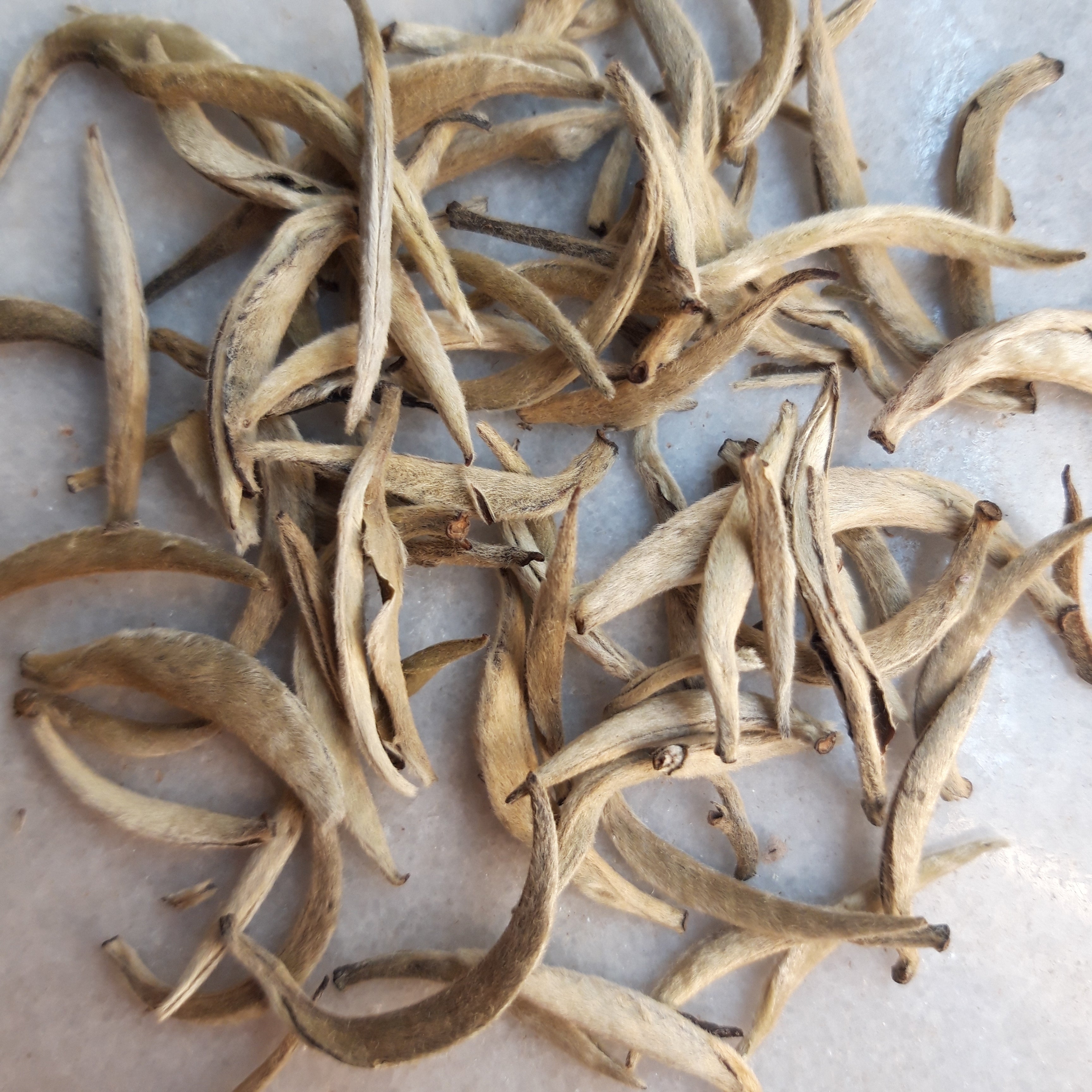 White Bud Pu-erh Tea [Thé blanc de Chine]