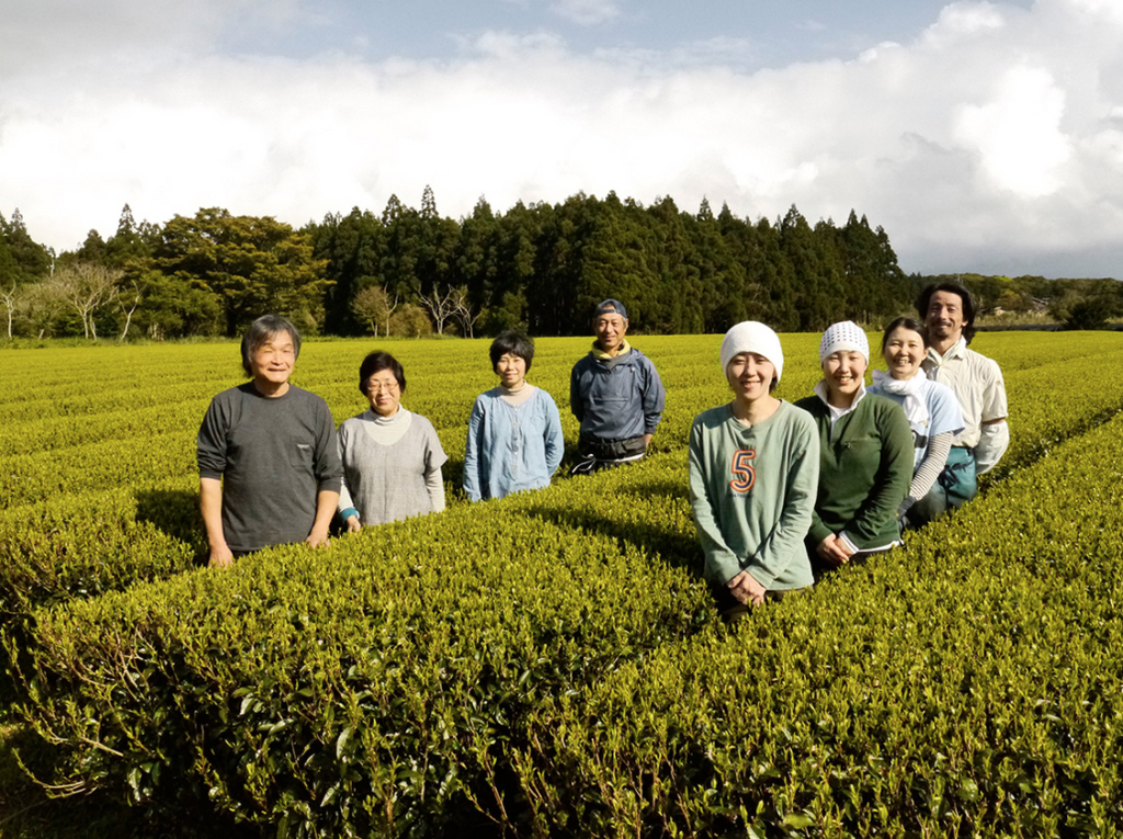 Kabuse Houjicha