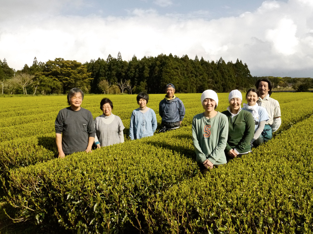 Kabuse Houjicha