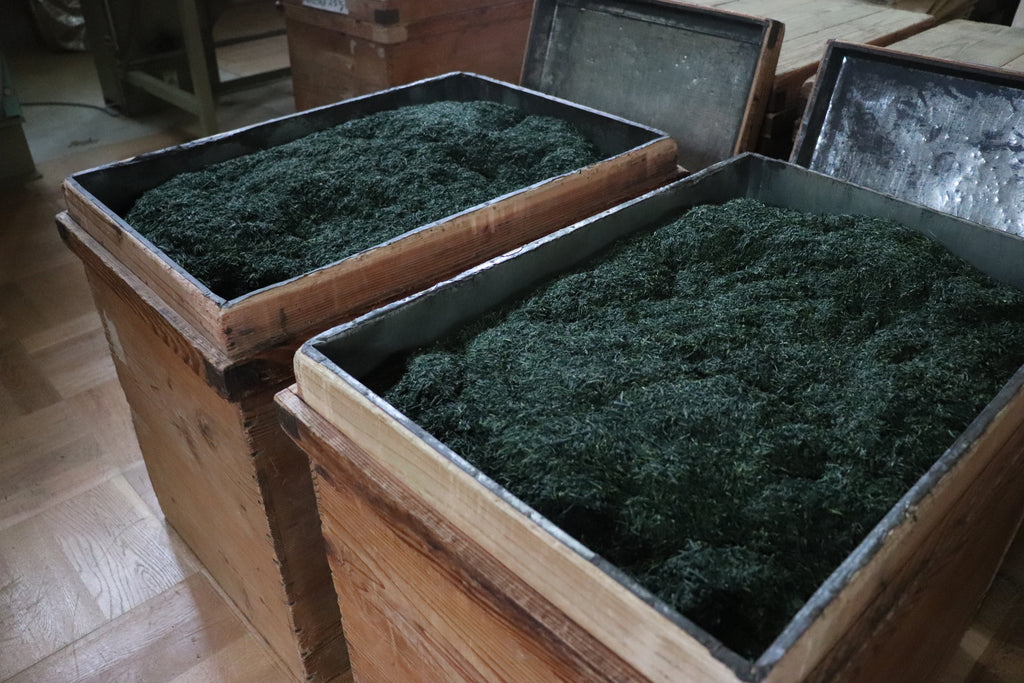 Gyokuro Uji