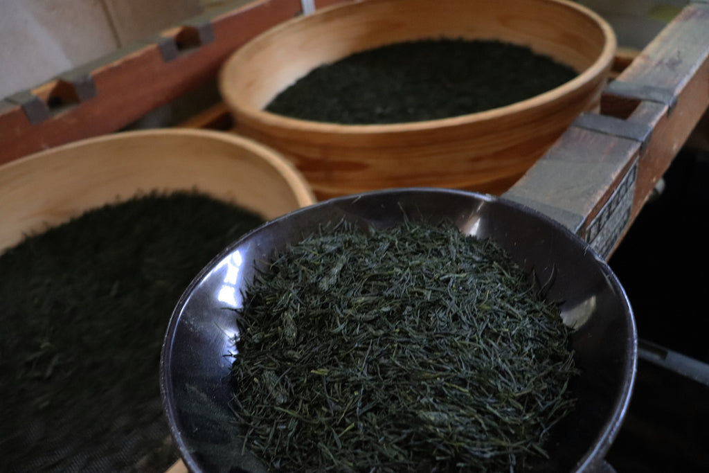 Sencha Ohbukudani [Thé vert, première récolte, Shincha 2025]