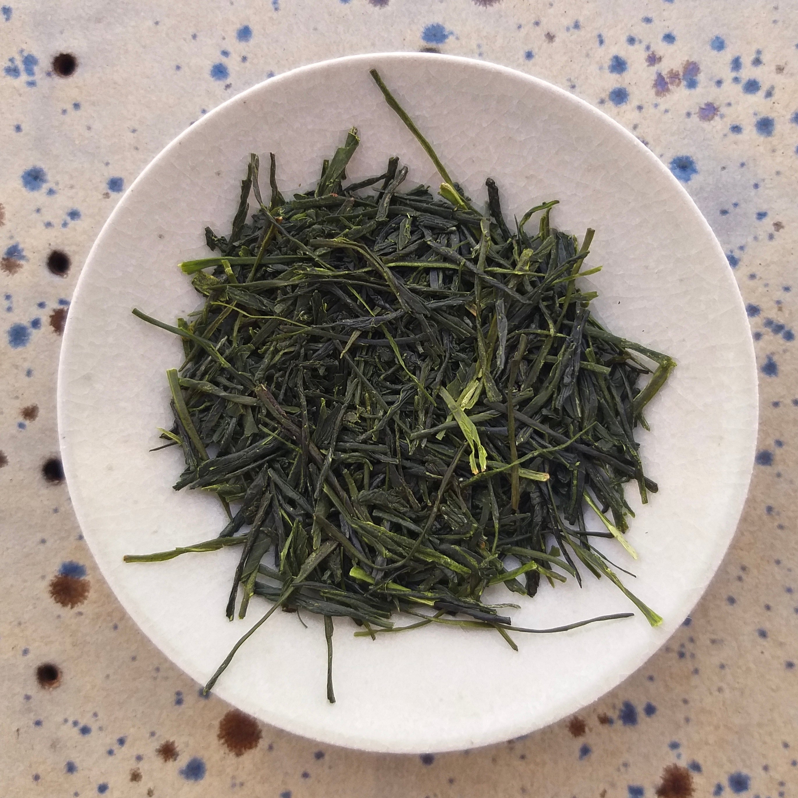 Sencha Ohbukudani [Thé vert, première récolte, Shincha 2025]