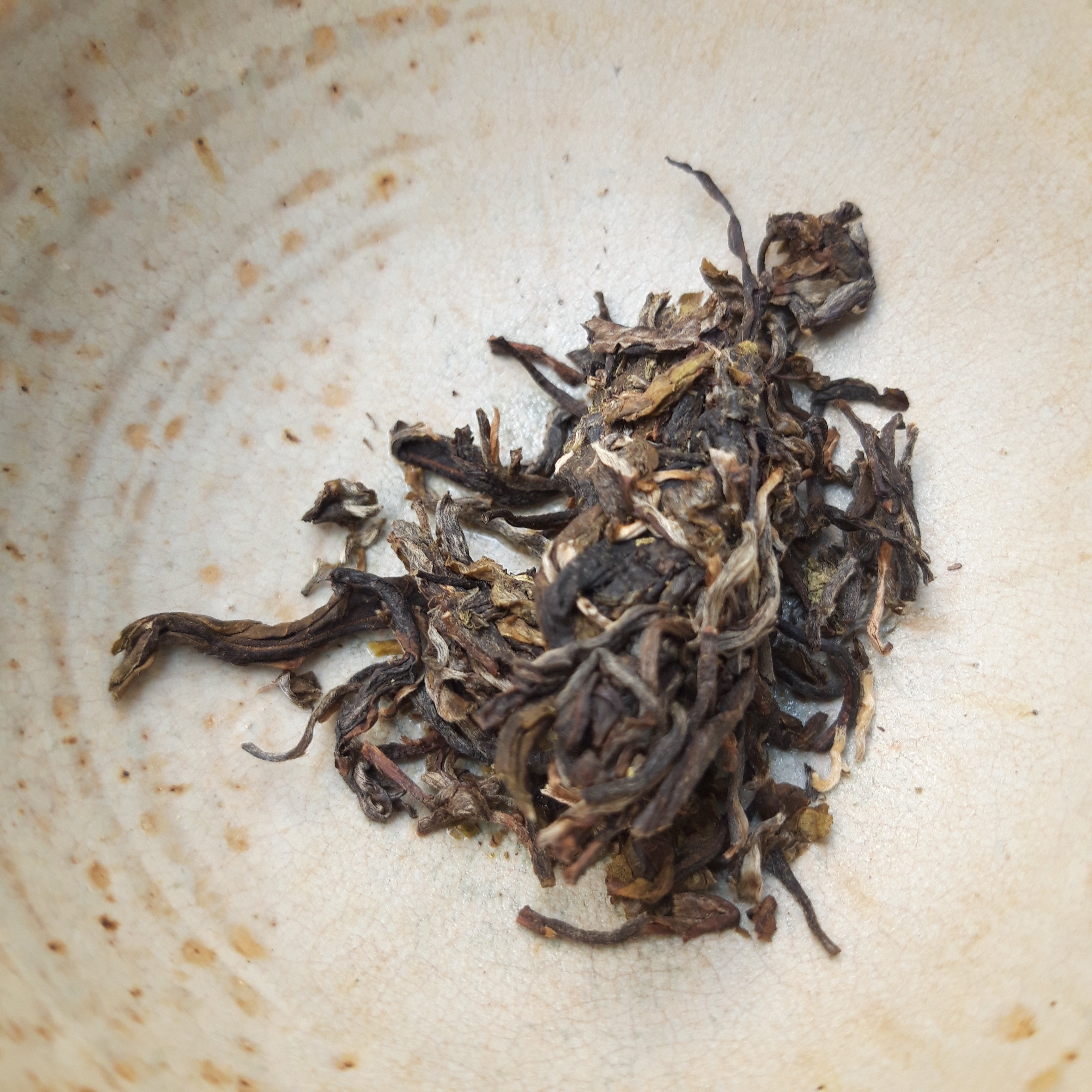 Mao Cha Wawee 2021 [Sheng Cha de Thaïlande]
