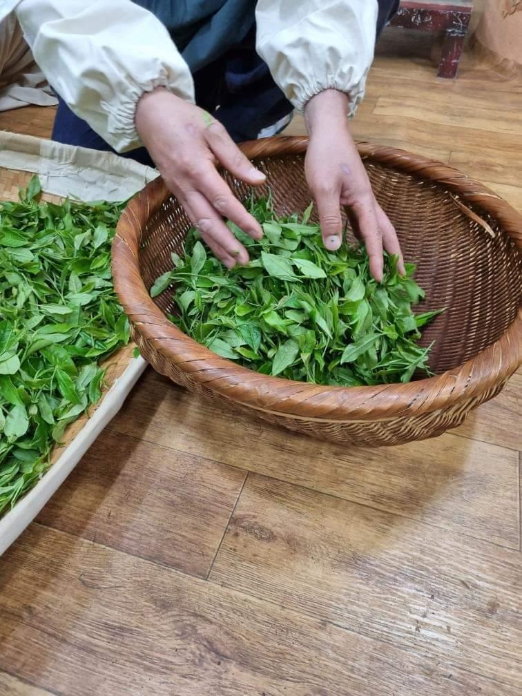 Woojeon [Première Récolte 2025, Thé vert de Corée du Sud]