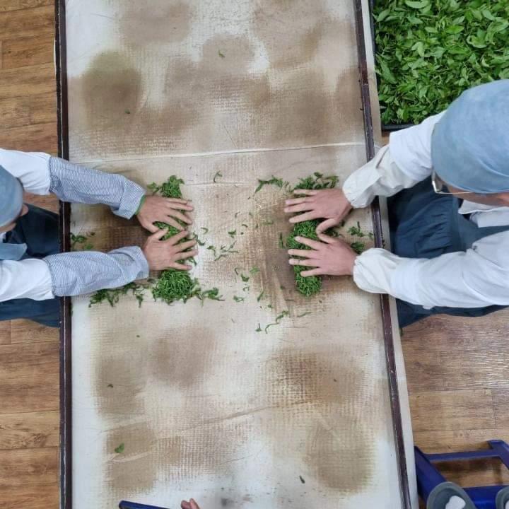 Jungjak [Thé vert BIO de Corée du Sud***** Récolte 2025*****]