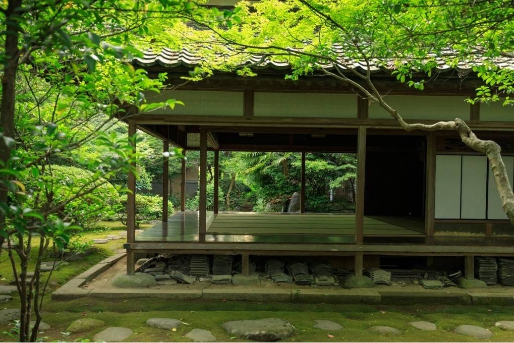 Zairaicha [Thé vert kabuse du Japon]