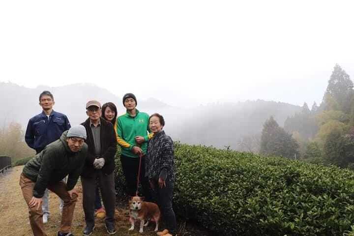 Gokou Matcha