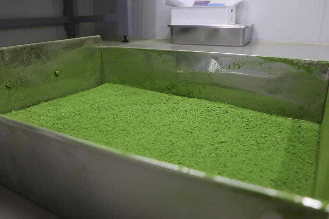 Gokou Matcha