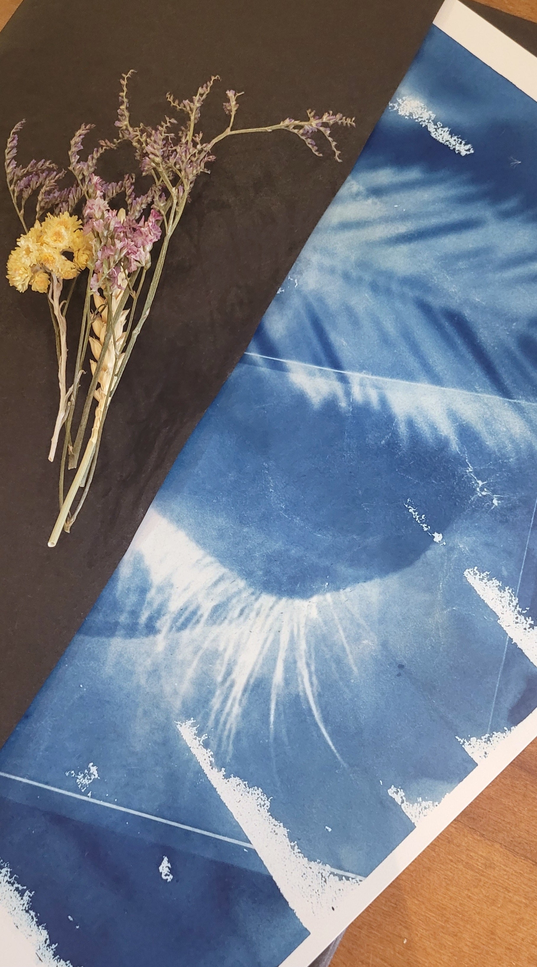 Barbara Portailler | Cyanotype édition 1/20