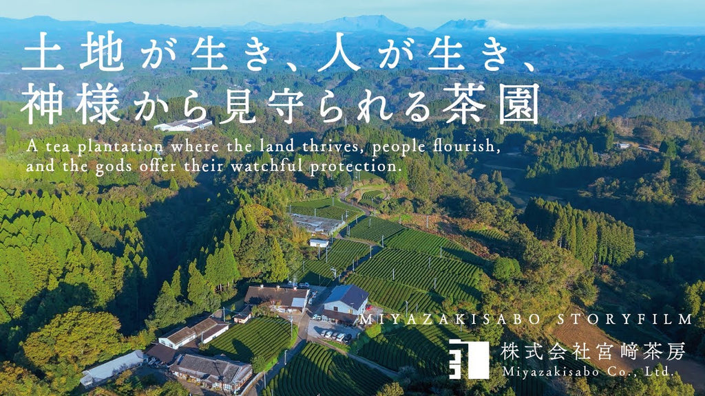 Kamairicha Minekaori [Thé vert BIO du Japon]