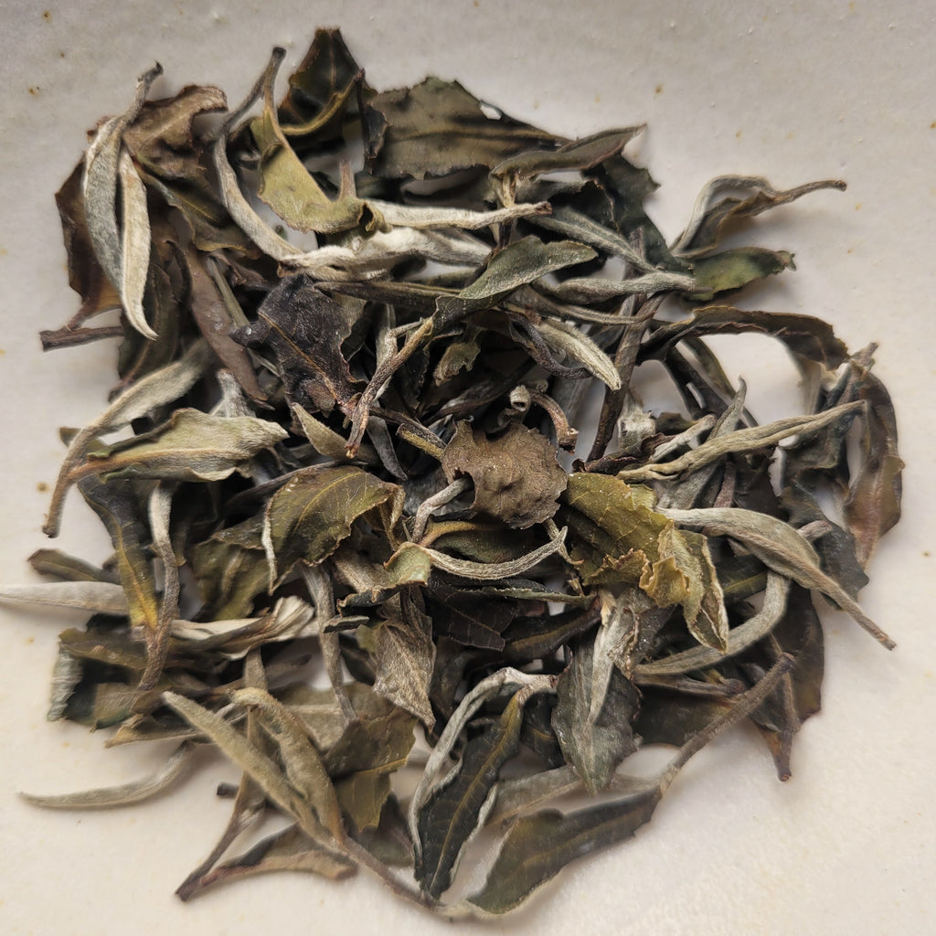 Five Trees Estate White Tea [Thé blanc de Birmanie]