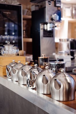 Théière brillante en inox double paroi 0,50 L