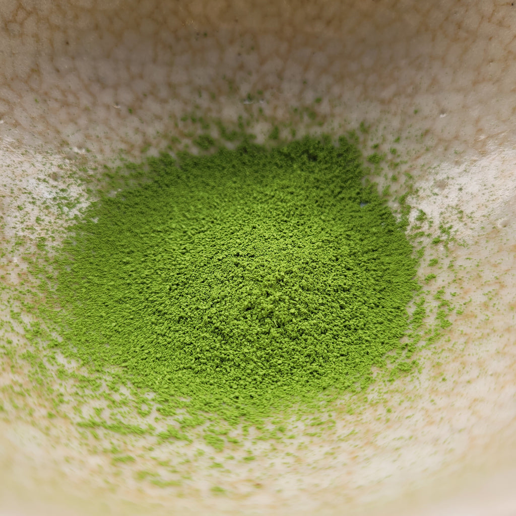 Matcha Kurasawa