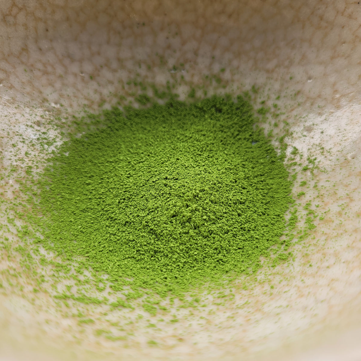 Matcha Kurasawa